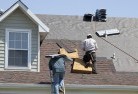 Tanbyskylights-2.jpg; ?>